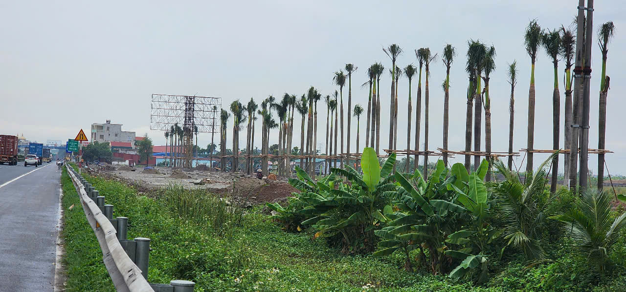 Cập-nhật-tiến-độ-KCN-Kim-Thành-Tháng-8-1